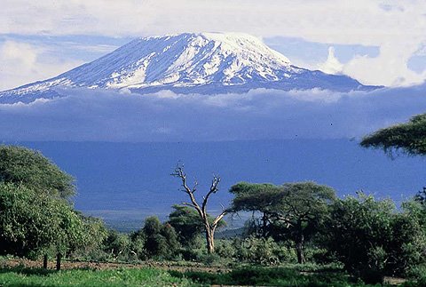 Resultado de imagem para neves derretidas do kilimanjaro